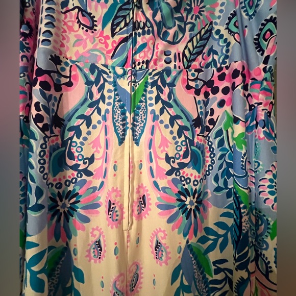 COPY - Lilly Pulitzer NWT Ambria Maxi Dress Size 16 - Picture 4 of 4